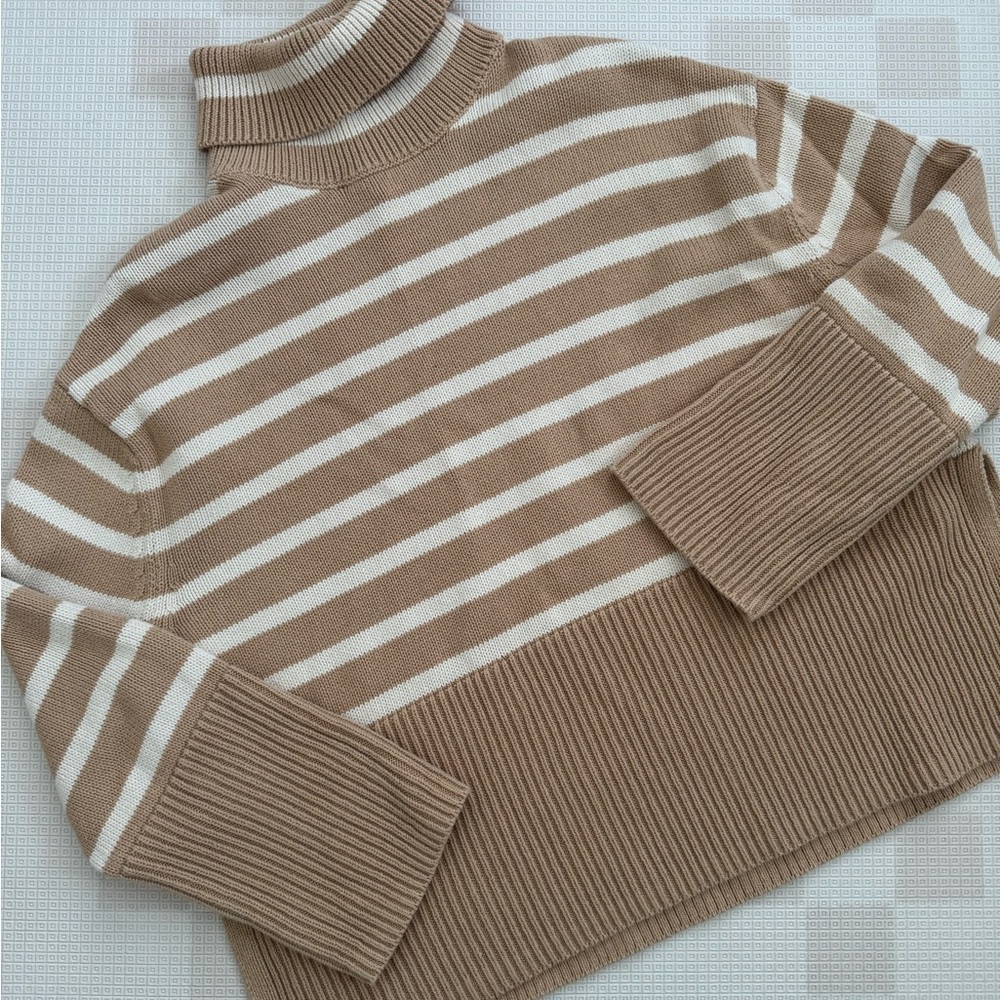 Striped Gap Turtleneck Sweater